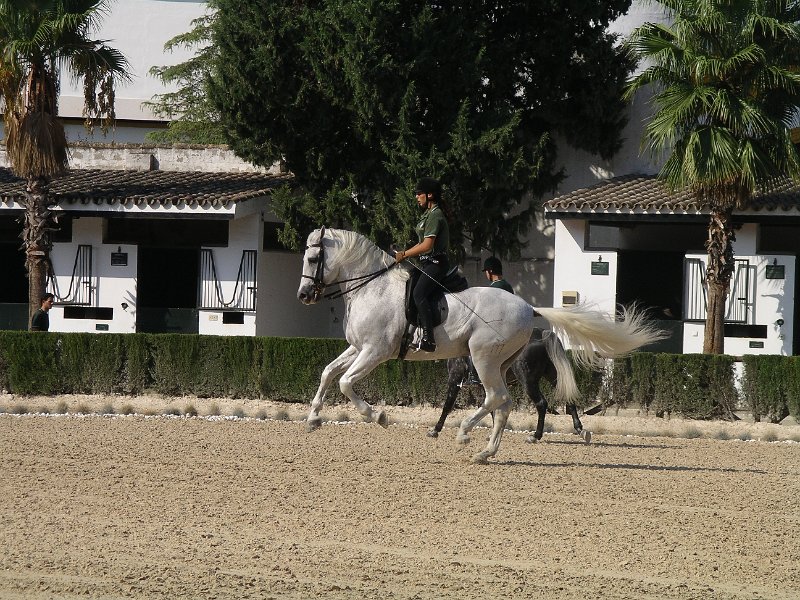 Spanje 2010 311.JPG